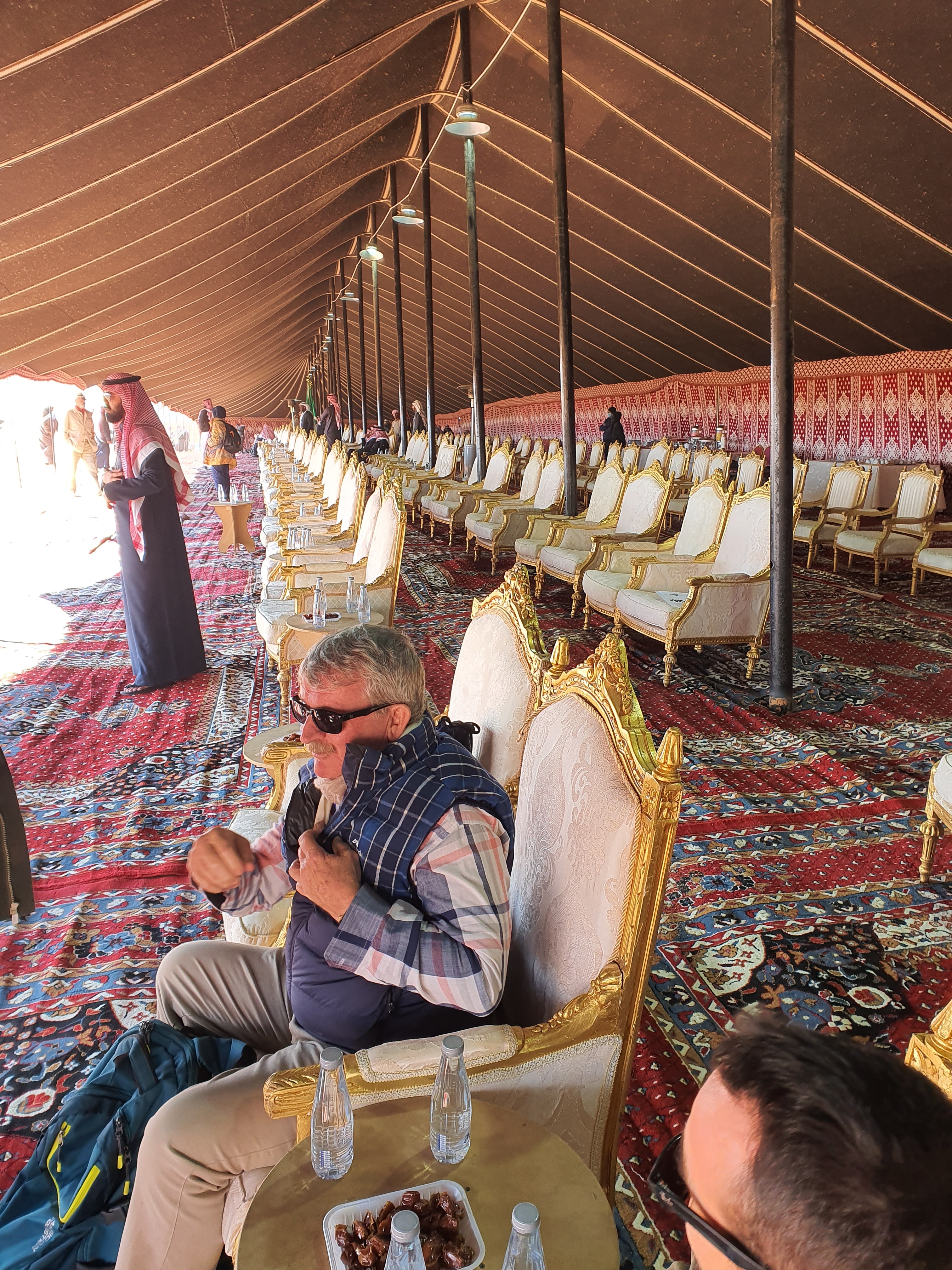 FFDCFE Fédération Française pour le Développement des Camélidés en France et en Europe (chameaux, dromadaires, lamas et alpagas) Salon International du Dromadaire et des Camélidés à Janvry www.fedecamelides.fr