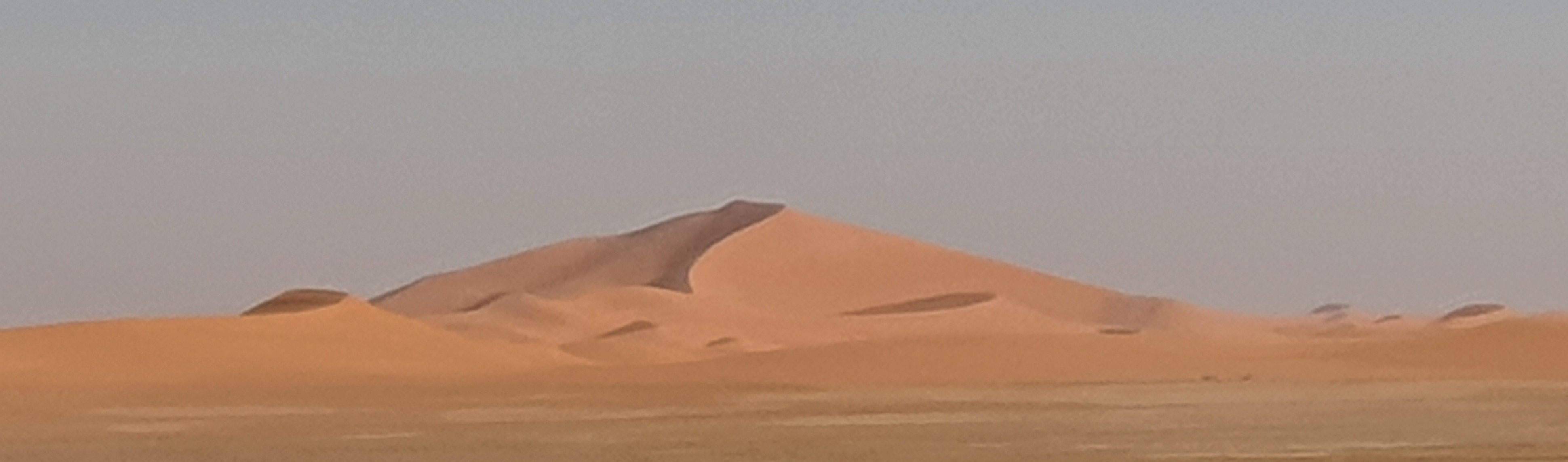 FFDCFE Fédération Française pour le Développement des Camélidés en France et en Europe (chameaux, dromadaires, lamas et alpagas) Salon International du Dromadaire et des Camélidés à Janvry www.fedecamelides.fr
