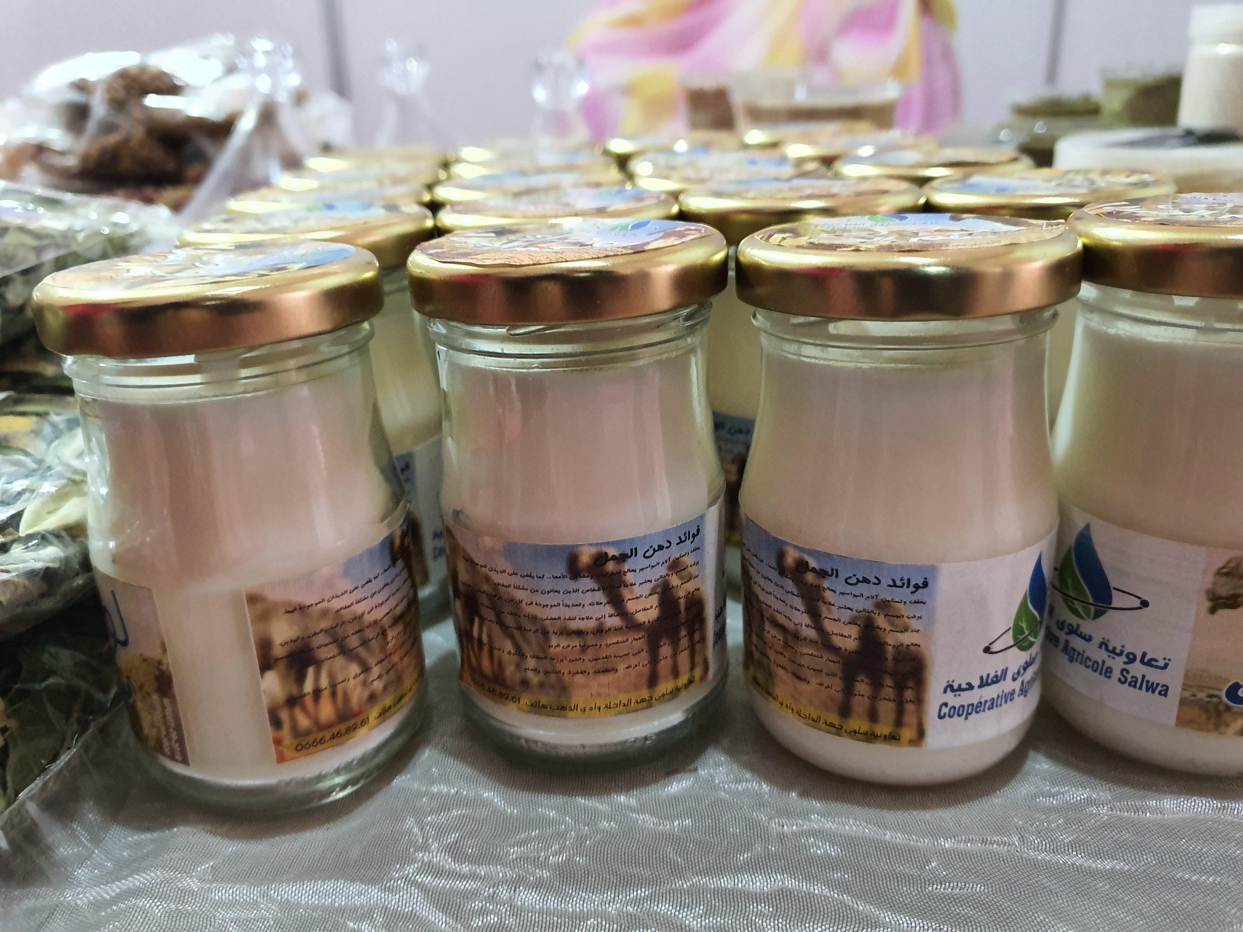 FFDCFE Fédération Française pour le Développement des Camélidés en France et en Europe (chameaux, dromadaires, lamas et alpagas) Salon International du Dromadaire et des Camélidés à Janvry www.fedecamelides.fr