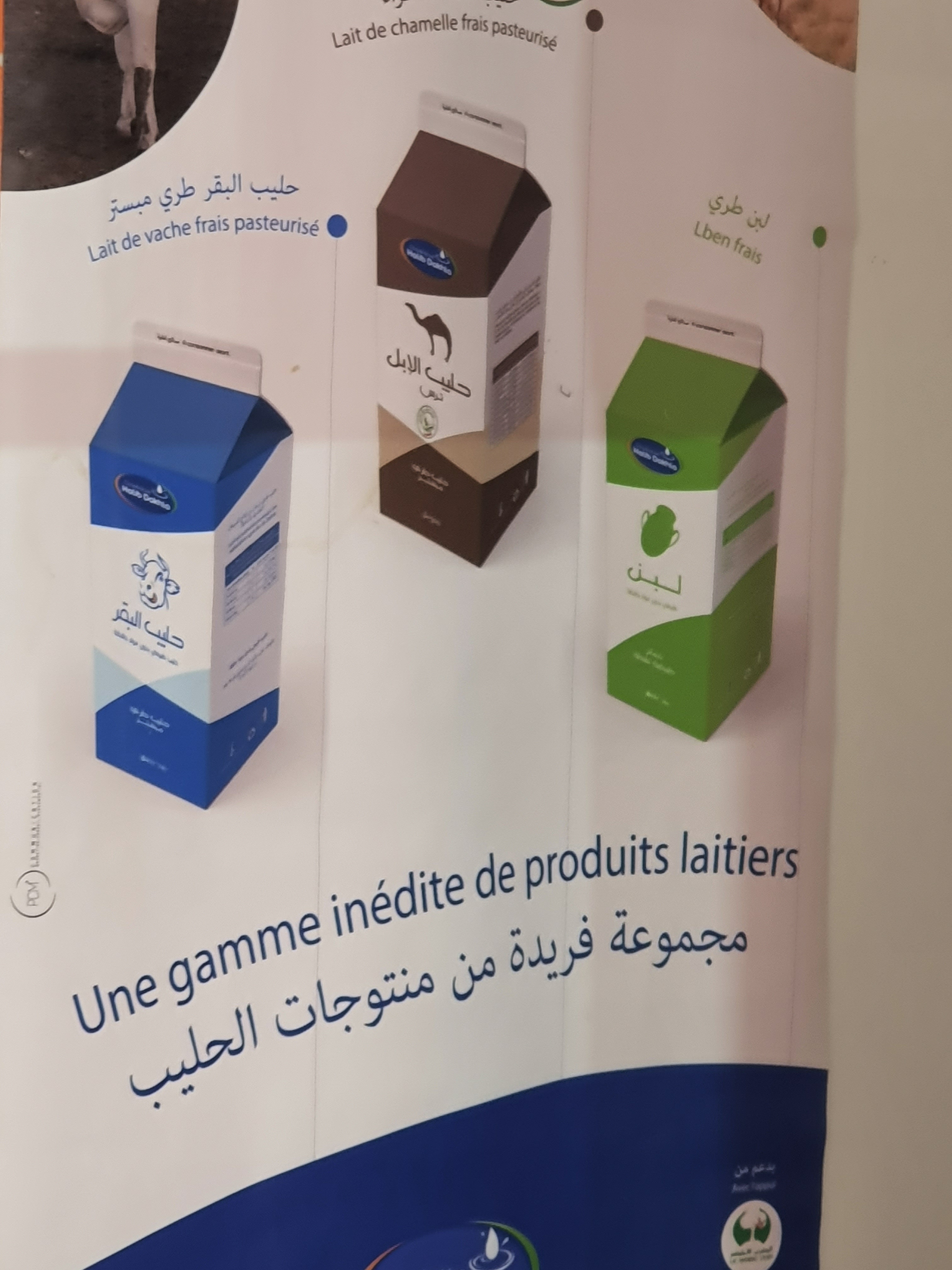 FFDCFE Fédération Française pour le Développement des Camélidés en France et en Europe (chameaux, dromadaires, lamas et alpagas) Salon International du Dromadaire et des Camélidés à Janvry www.fedecamelides.fr