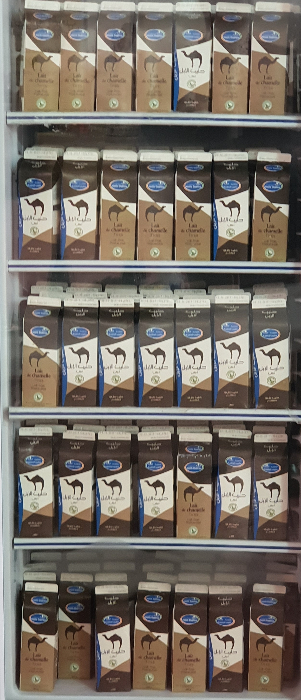 FFDCFE Fédération Française pour le Développement des Camélidés en France et en Europe (chameaux, dromadaires, lamas et alpagas) Salon International du Dromadaire et des Camélidés à Janvry www.fedecamelides.fr